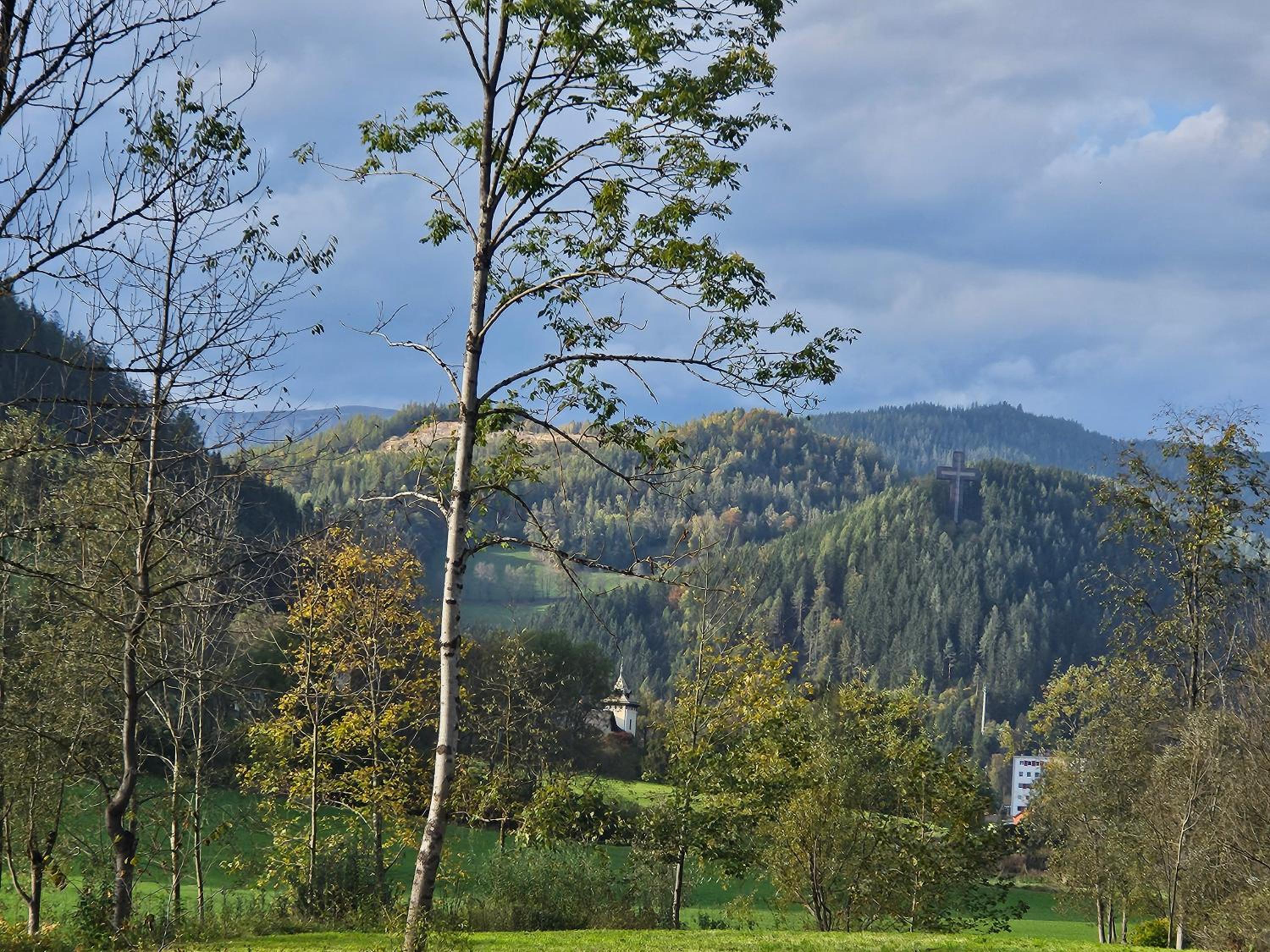 Bergkuss Brunnalm Veitsch