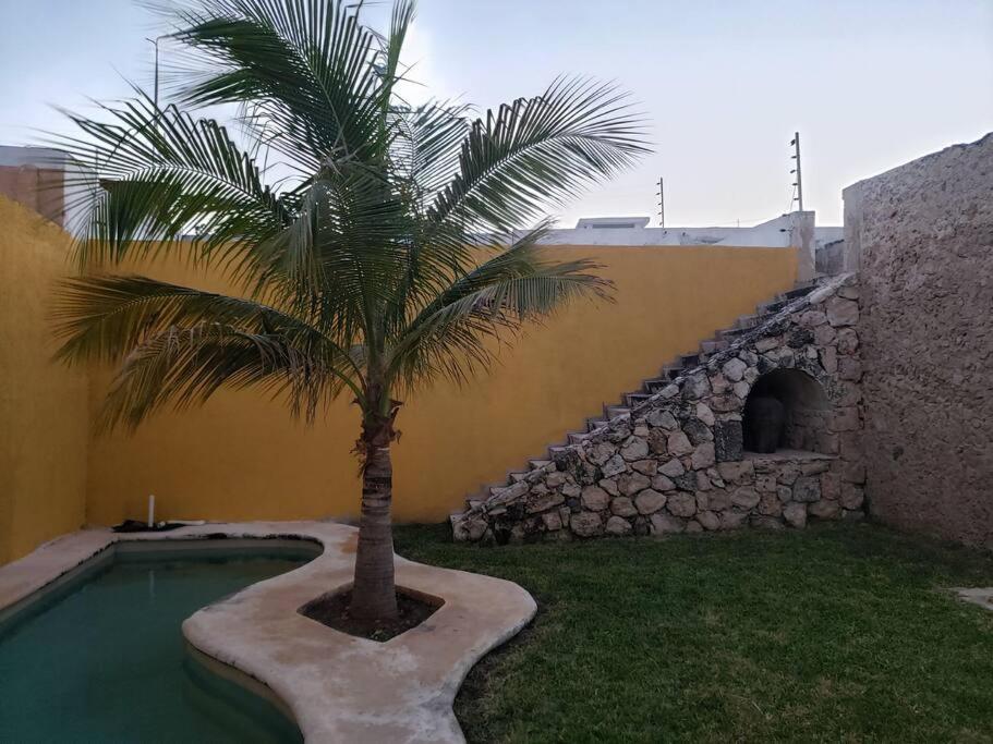 Photo 19