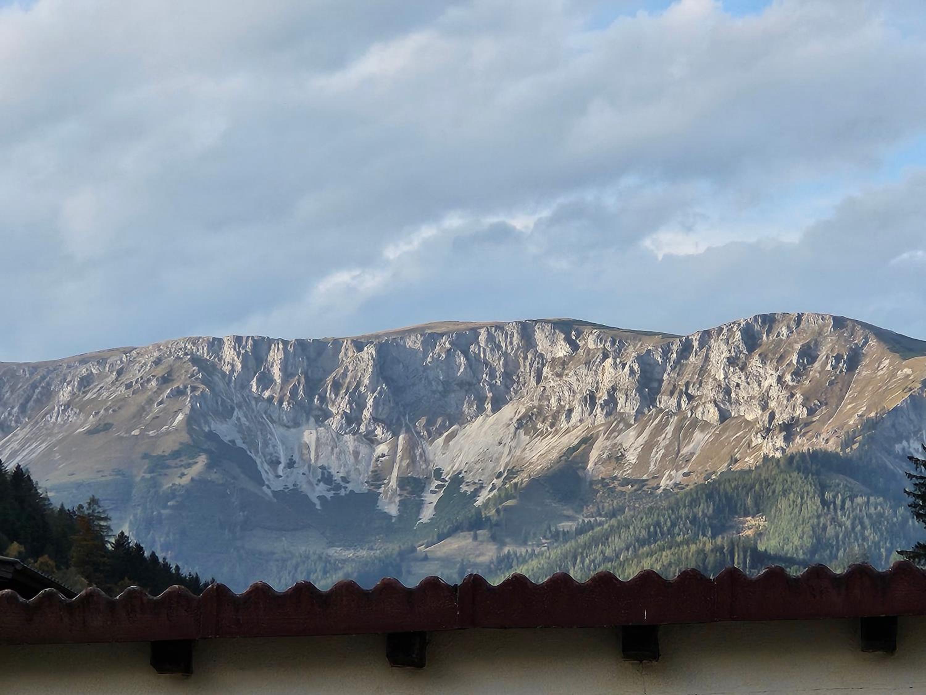 Bergkuss Brunnalm Veitsch