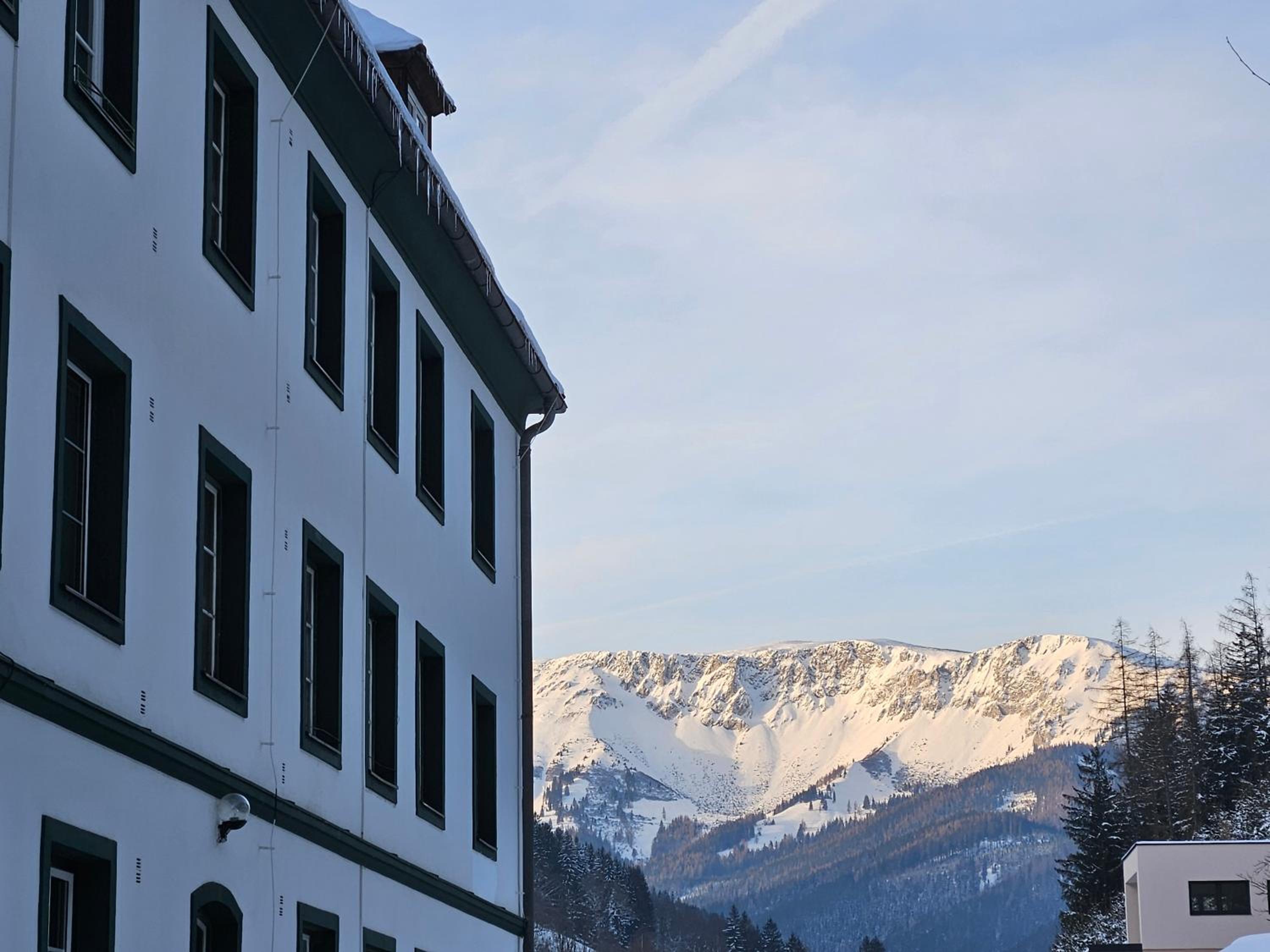 Bergkuss Brunnalm Veitsch
