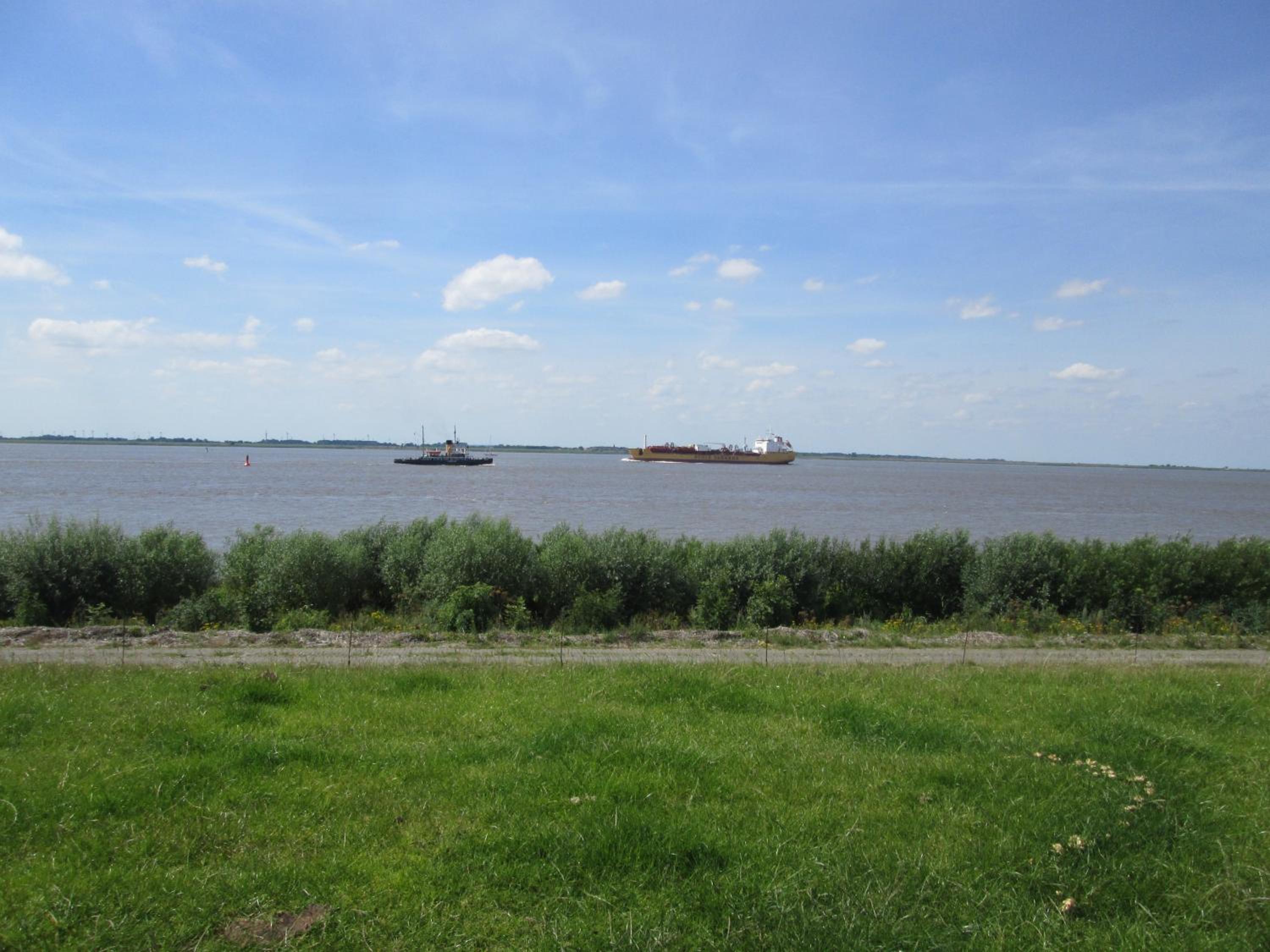 Photo 46