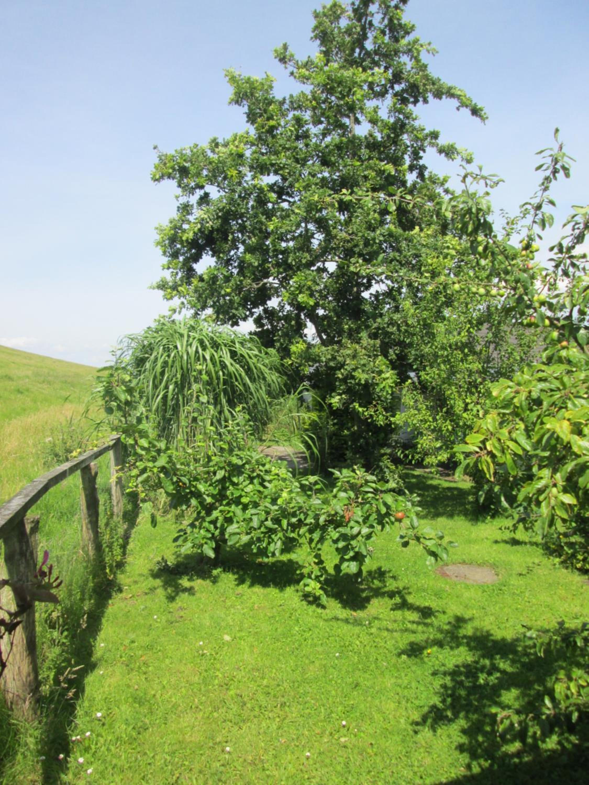 Photo 49