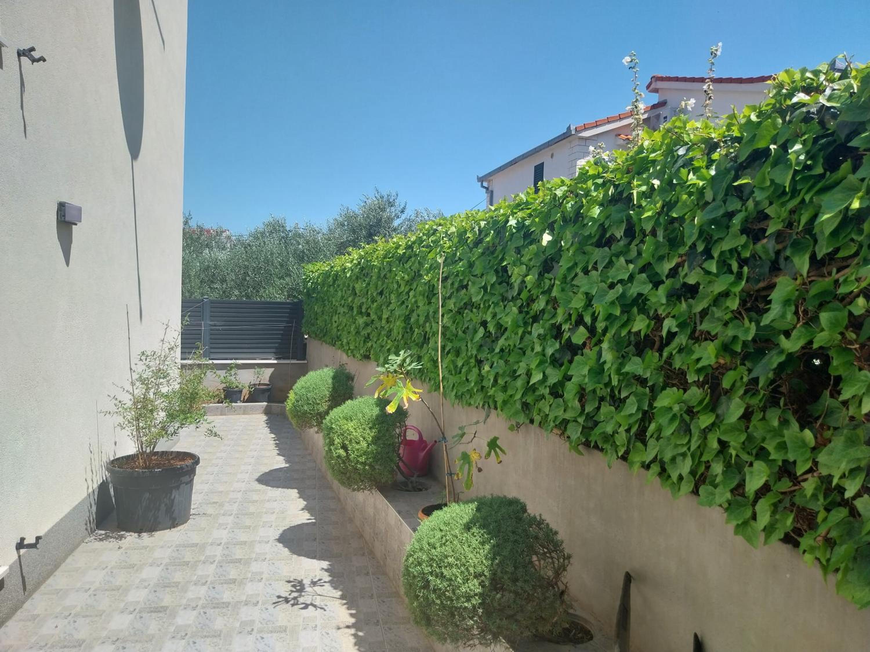 Photo 42