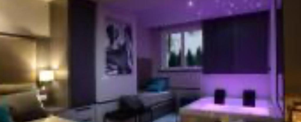 Apartment & Rooms zürich city