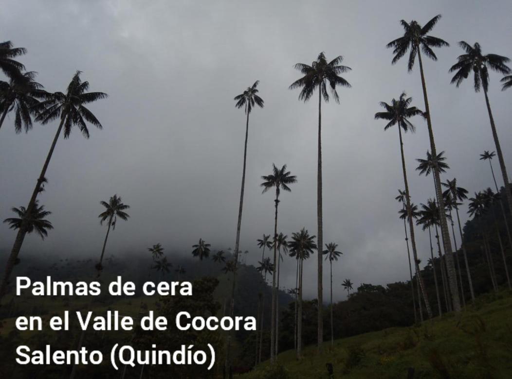 MUNAY, Posada rural para el sosiego