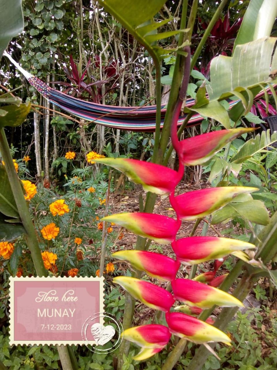 MUNAY, Posada rural para el sosiego
