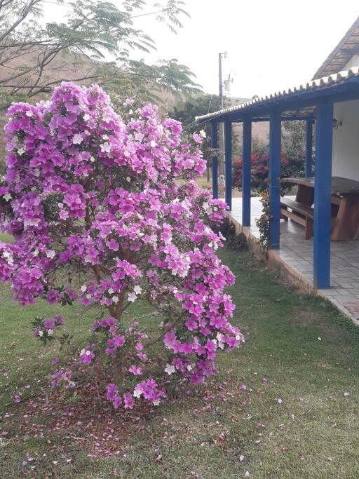 Sítio no interior de MG, lugar de sossego e paz!