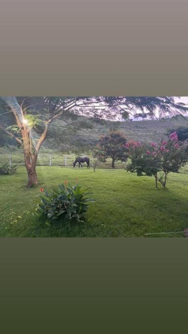Sítio no interior de MG, lugar de sossego e paz!