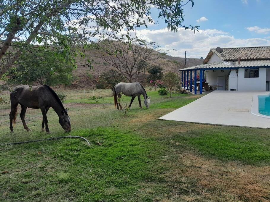Sítio no interior de MG, lugar de sossego e paz!