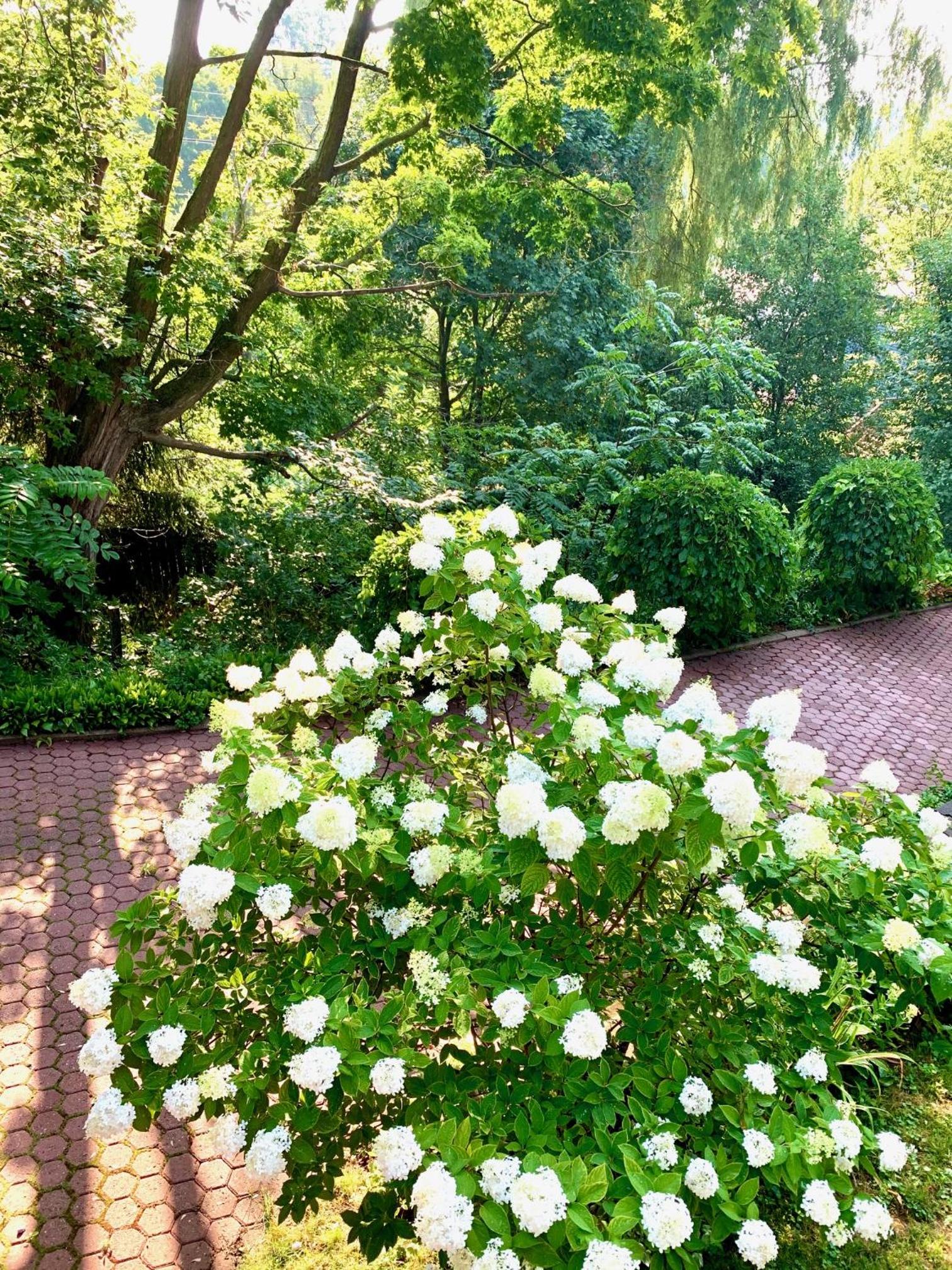 Plantation House Bed & Breakfast