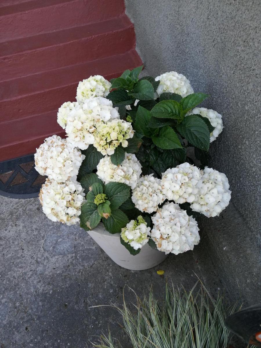 Photo 39