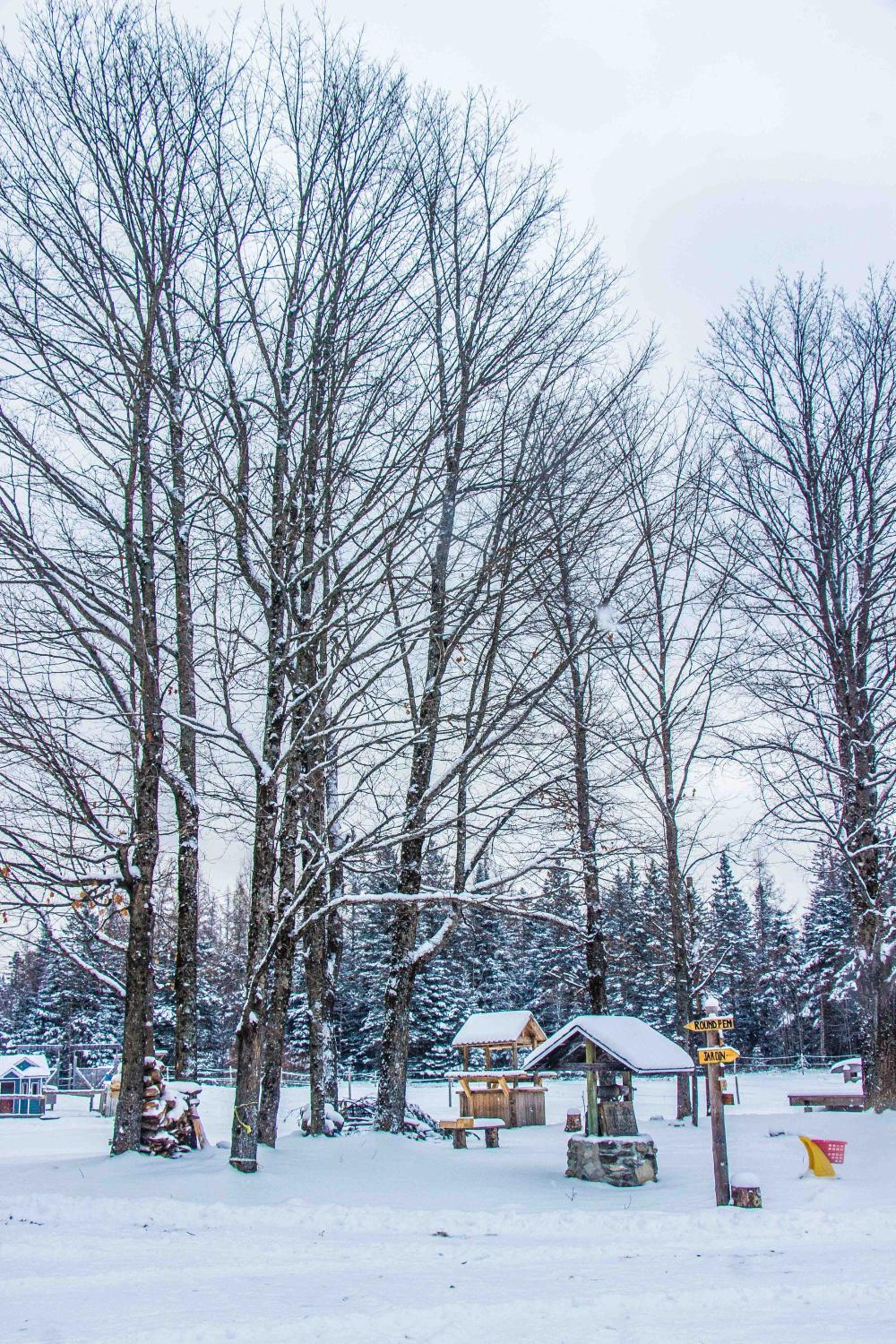 Mont Megantic - Chalet Le Madison