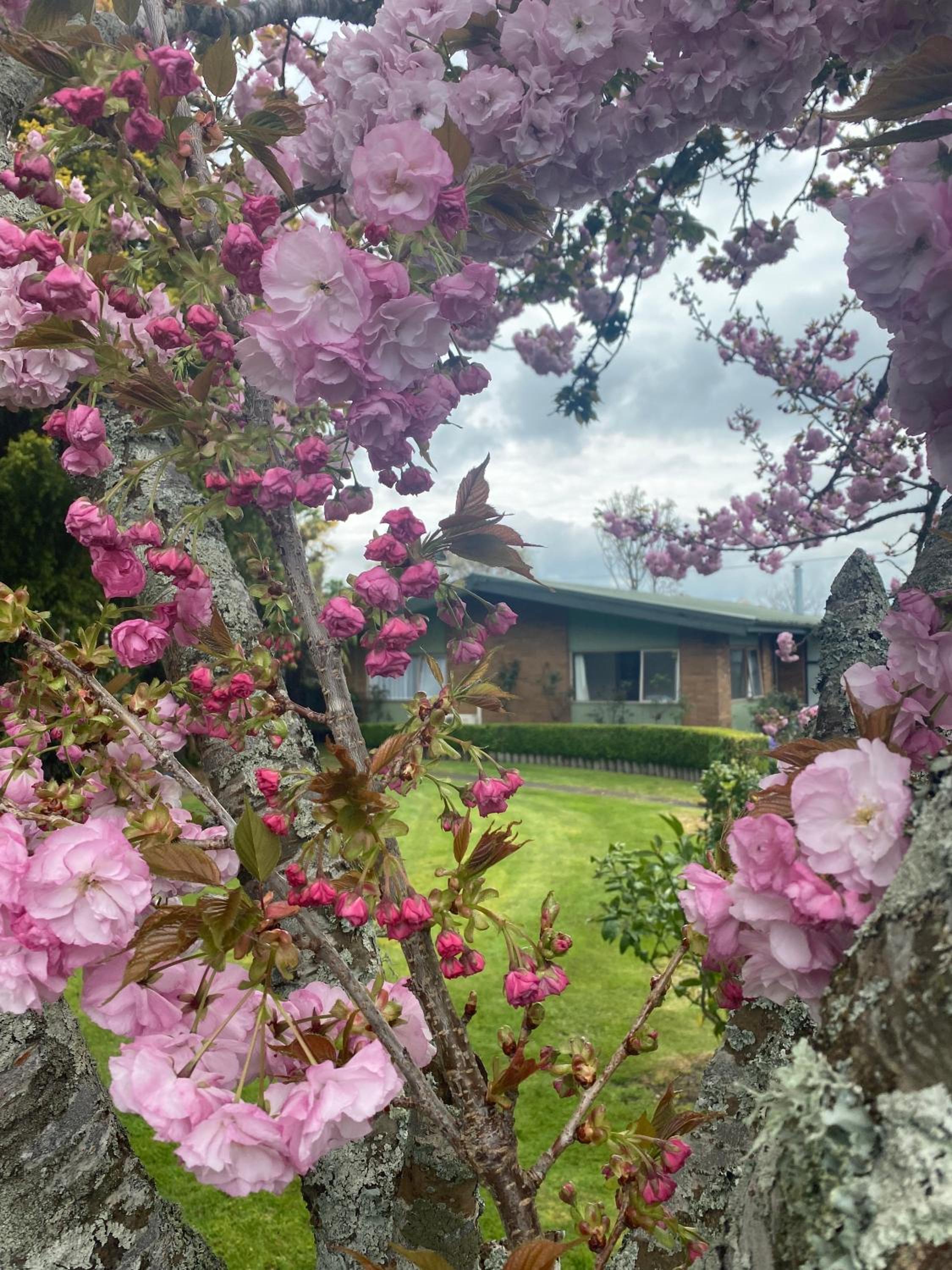 Hotel Roselake Retreat - Image 1