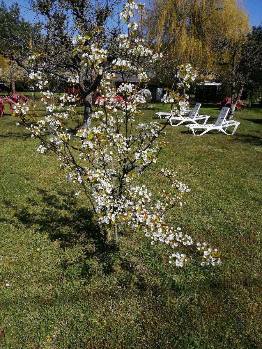 Photo 37