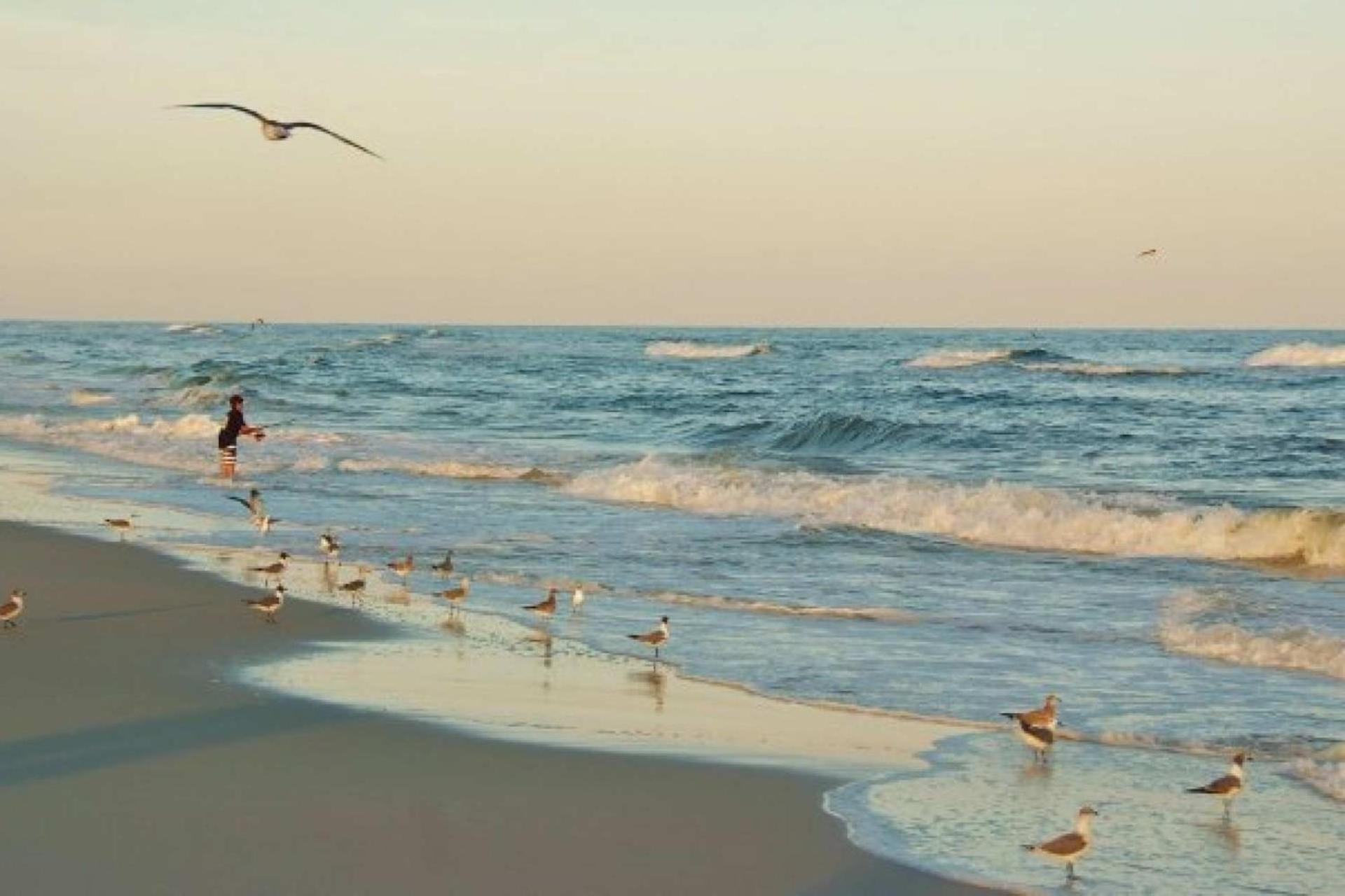 Coastal Breeze
