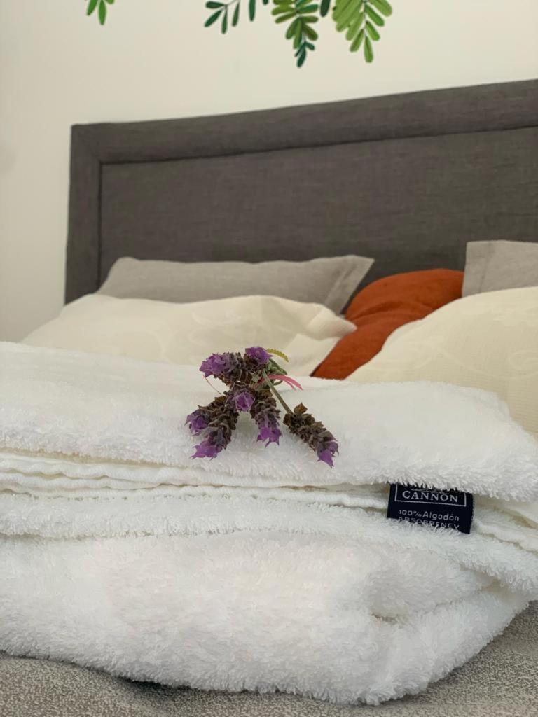 Las Tipas mini loft Cafayate