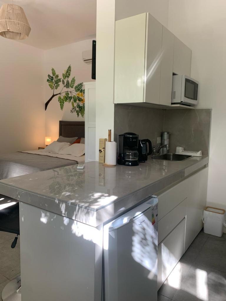 Las Tipas mini loft Cafayate