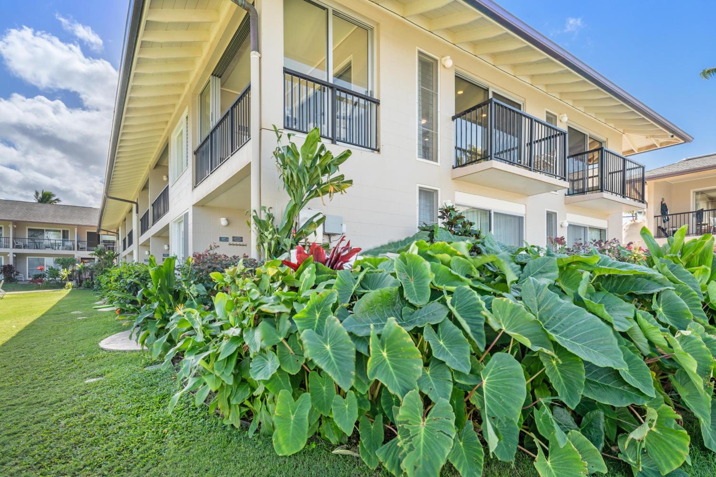 Napili Surf 207 · NSF 207 BeachFront Condo Napili Bay