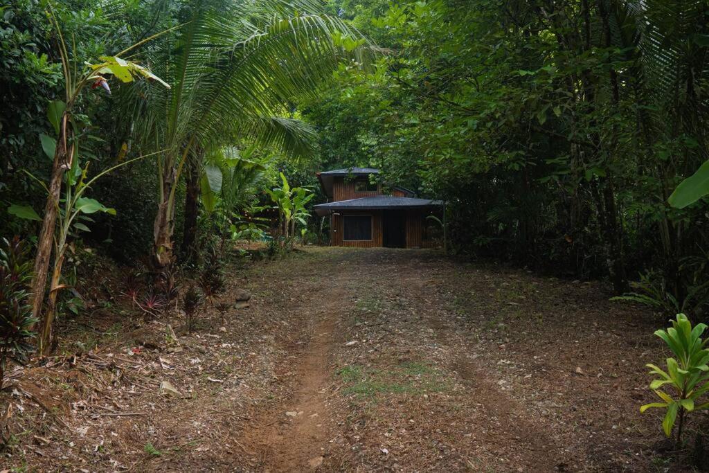 Hidden Treasure Cabin - Uvita Costa Rica