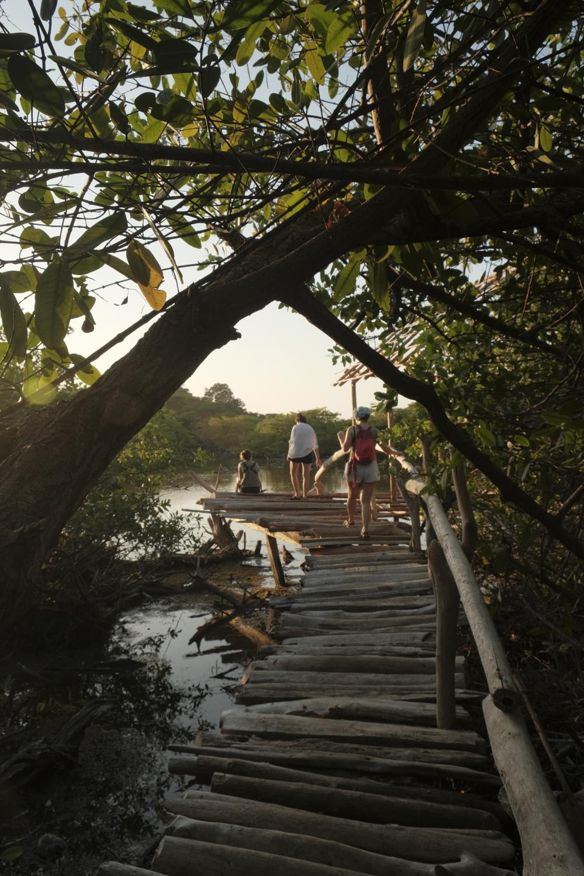 Isla Fuerte Eco House