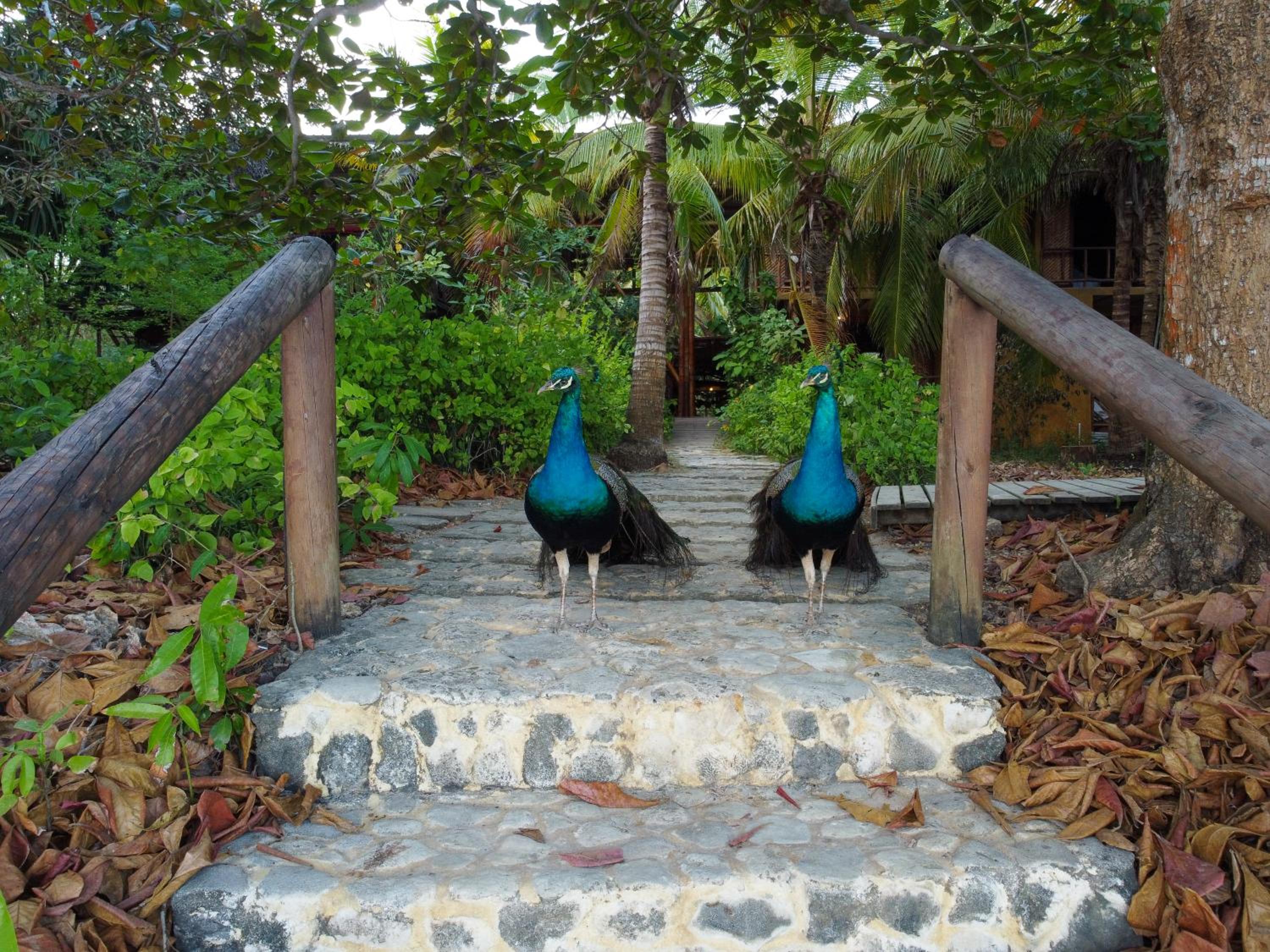 Isla Fuerte Eco House