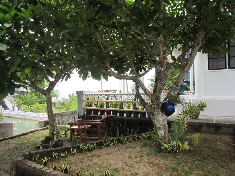 Beachfront Villa with Pool