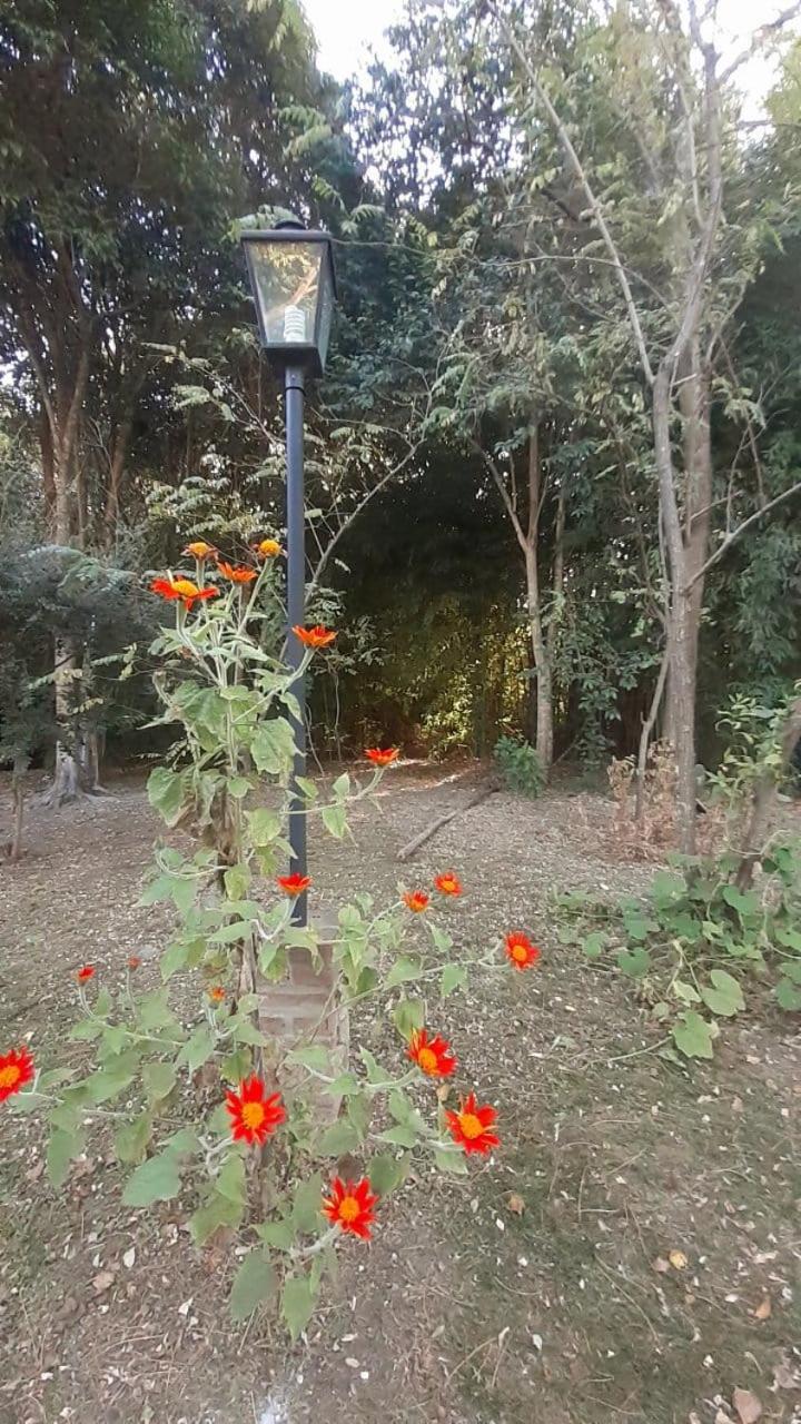 La Salamdra