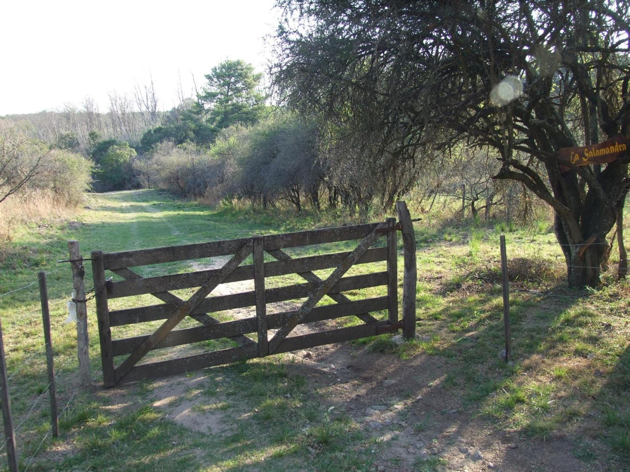 La Salamdra