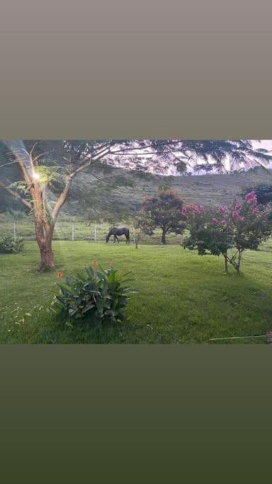 Sítio no interior de MG, lugar de sossego e paz!
