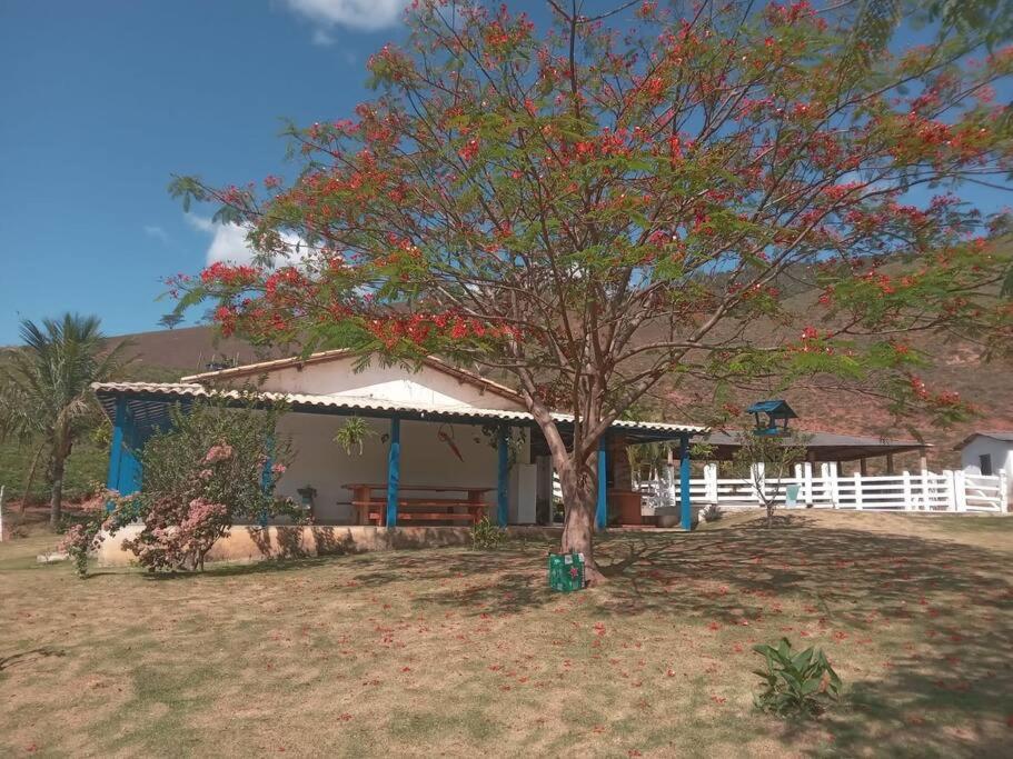 Sítio no interior de MG, lugar de sossego e paz!