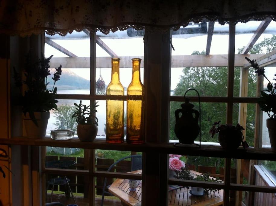 Photo 17