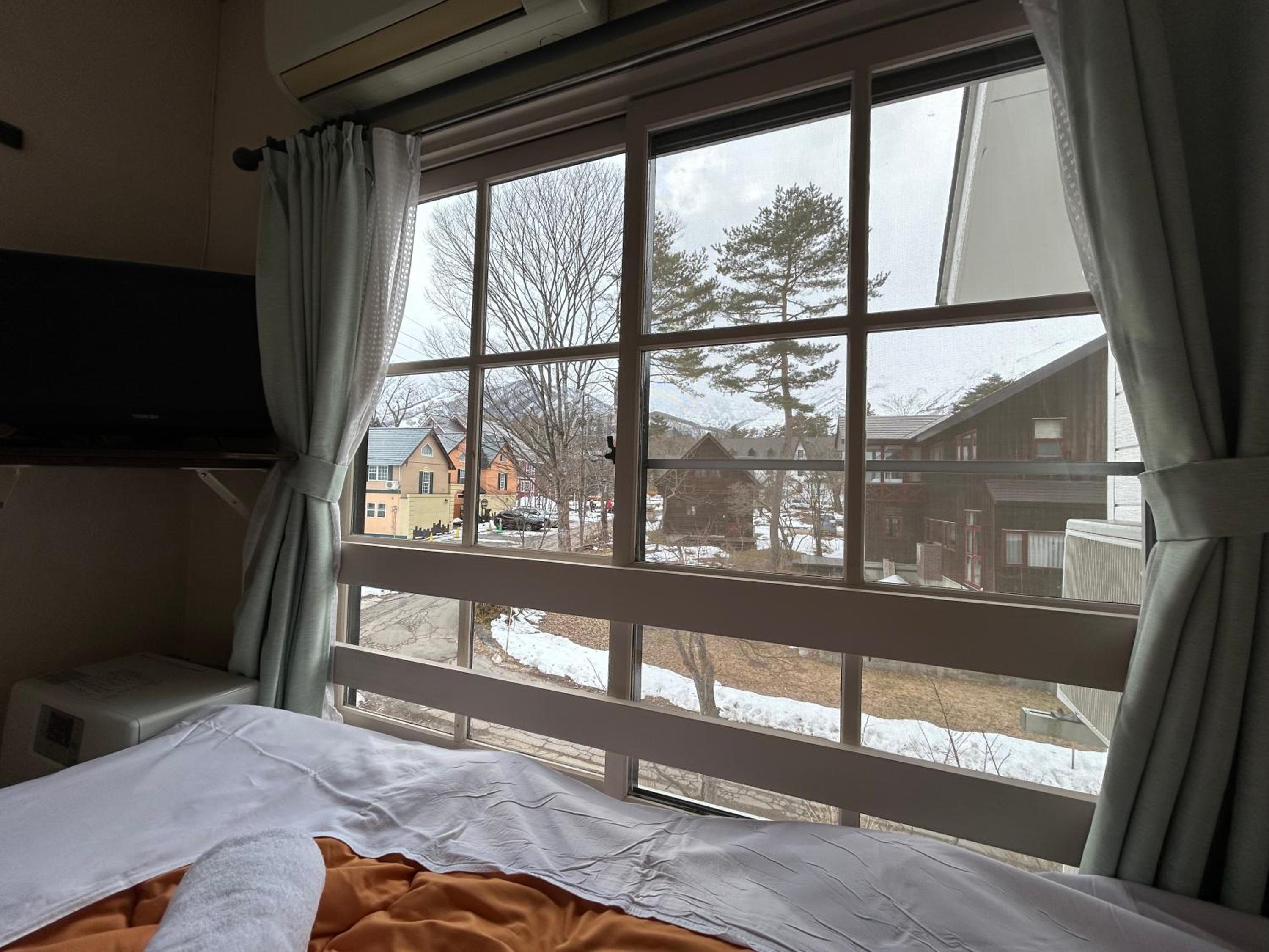 Hakuba Snow Fox