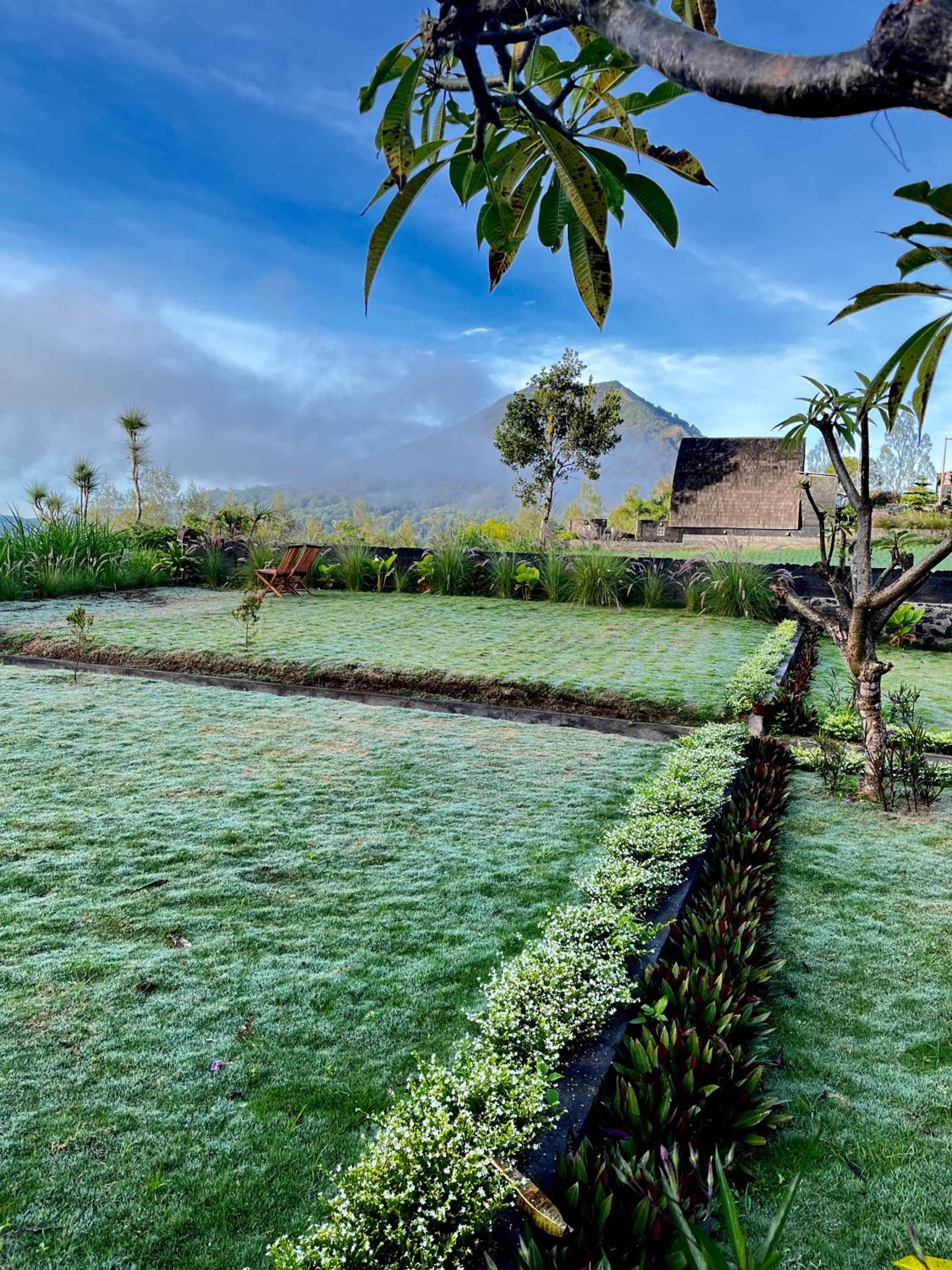 Hillside bali