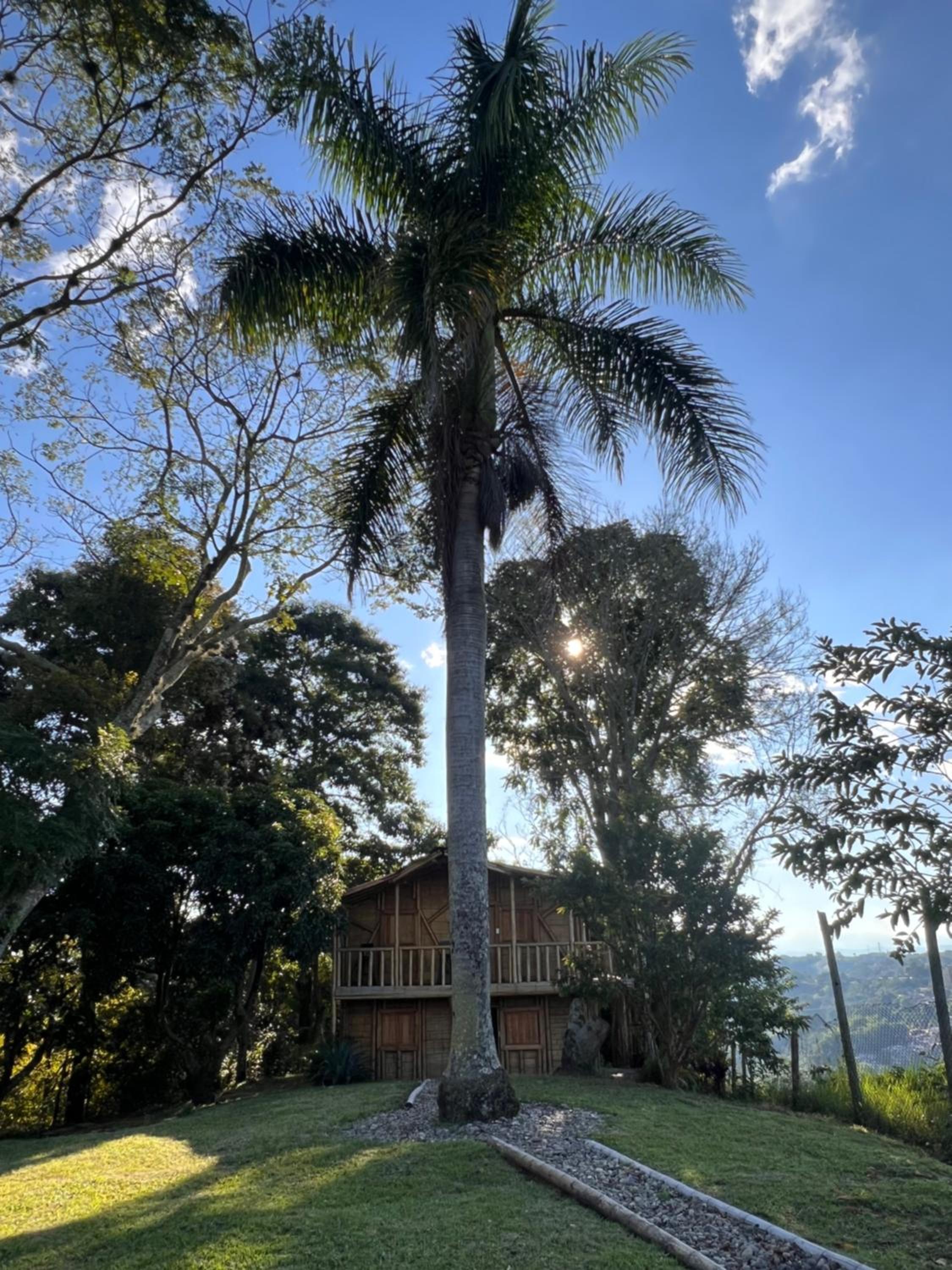 Cabaña Bamboo House