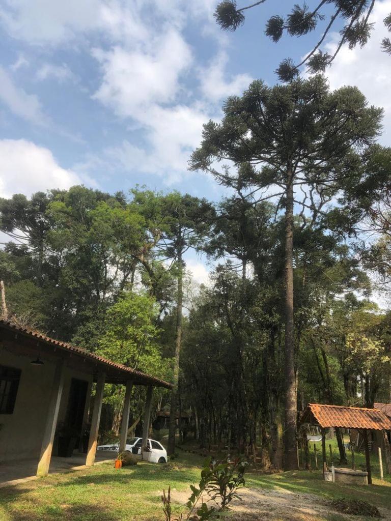 Chácara em São José dos Pinhais próximo a Audi