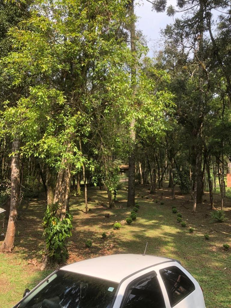 Chácara em São José dos Pinhais próximo a Audi