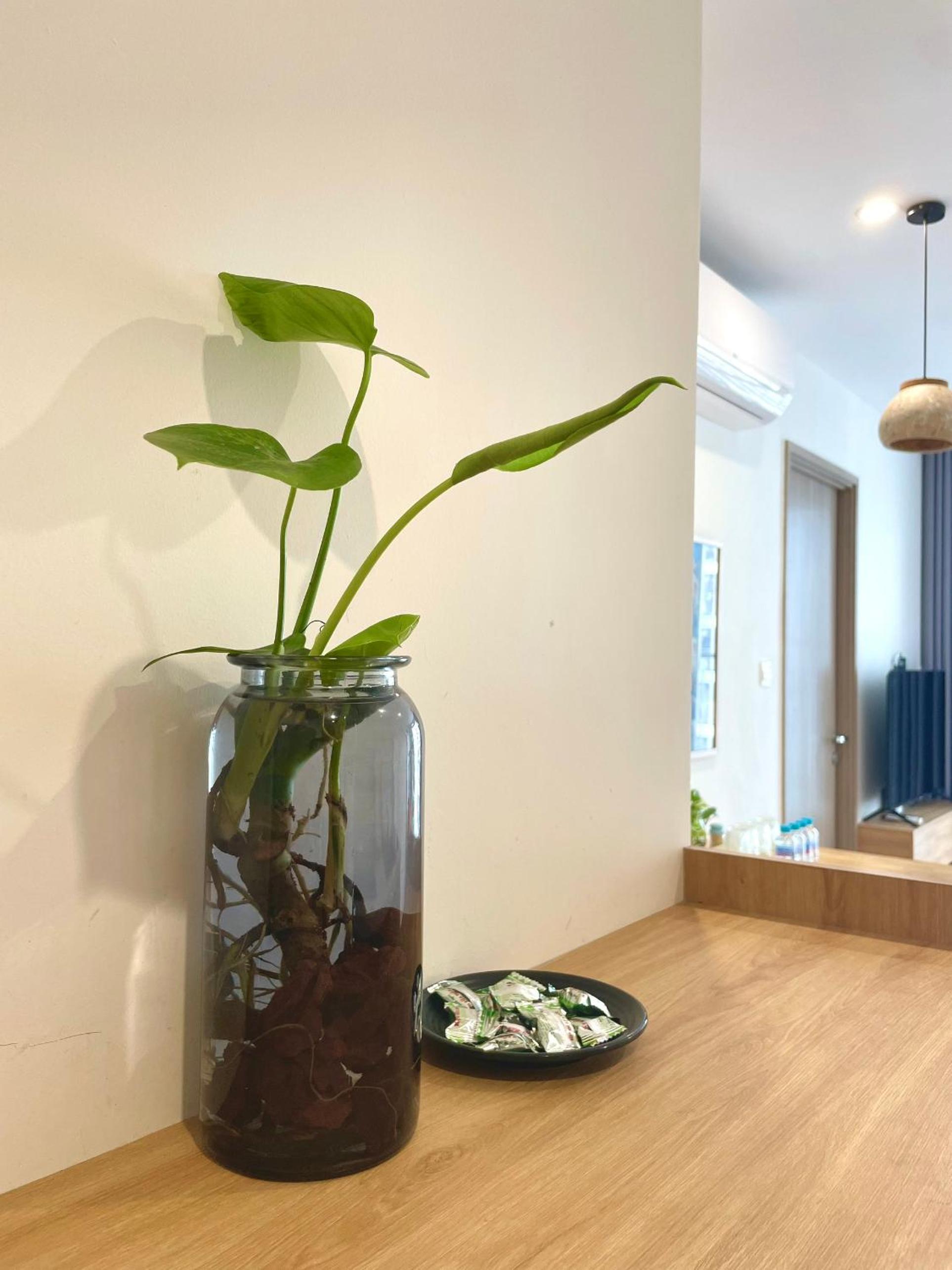 DU’s Happy Vinhomes Quận 9 view 3