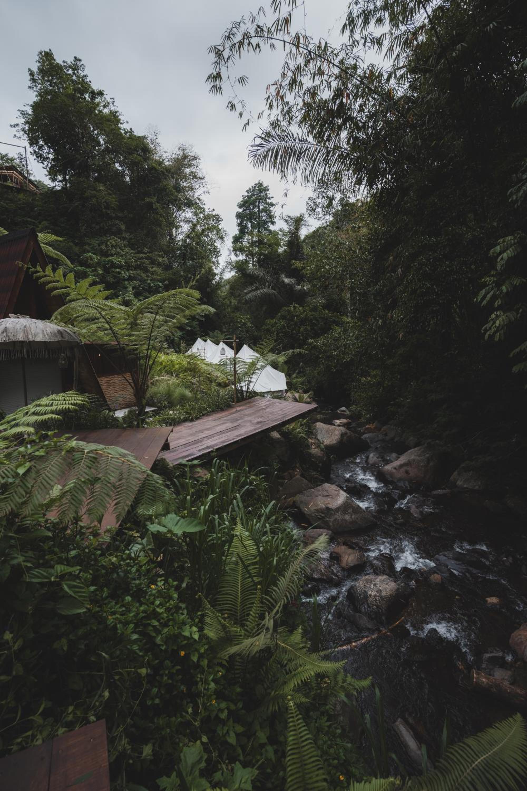 Glamping tent in Pelaga Eco Park