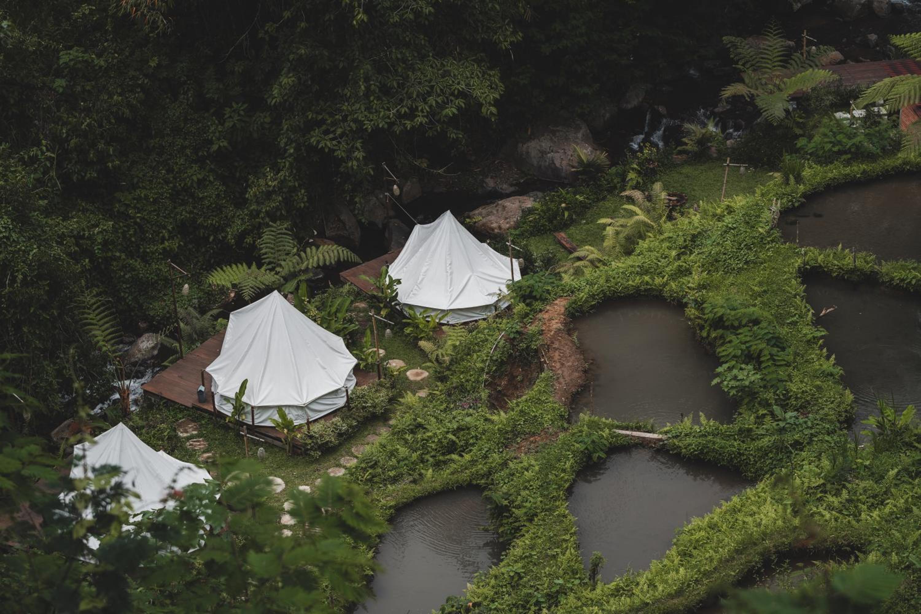 Glamping tent in Pelaga Eco Park