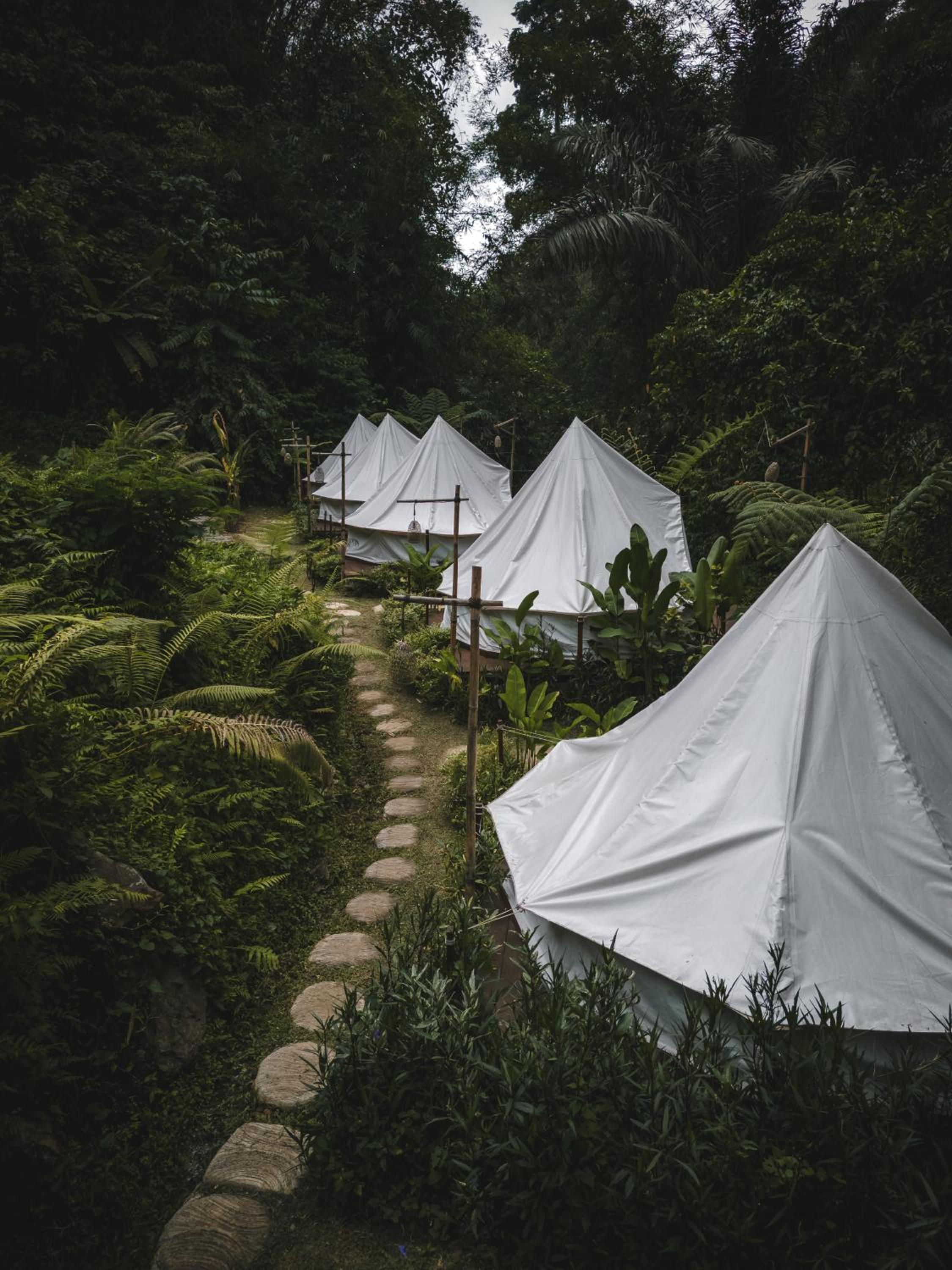Glamping tent in Pelaga Eco Park