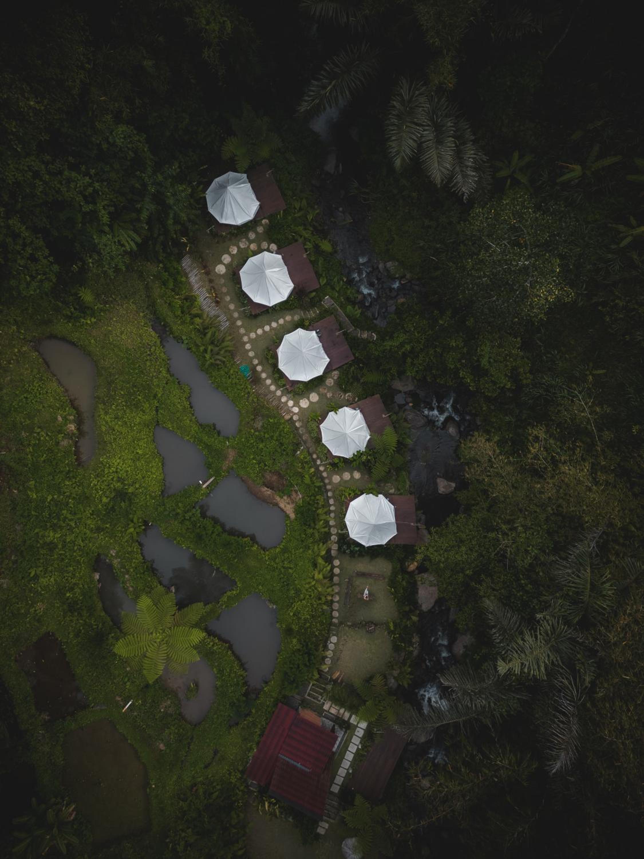 Glamping tent in Pelaga Eco Park