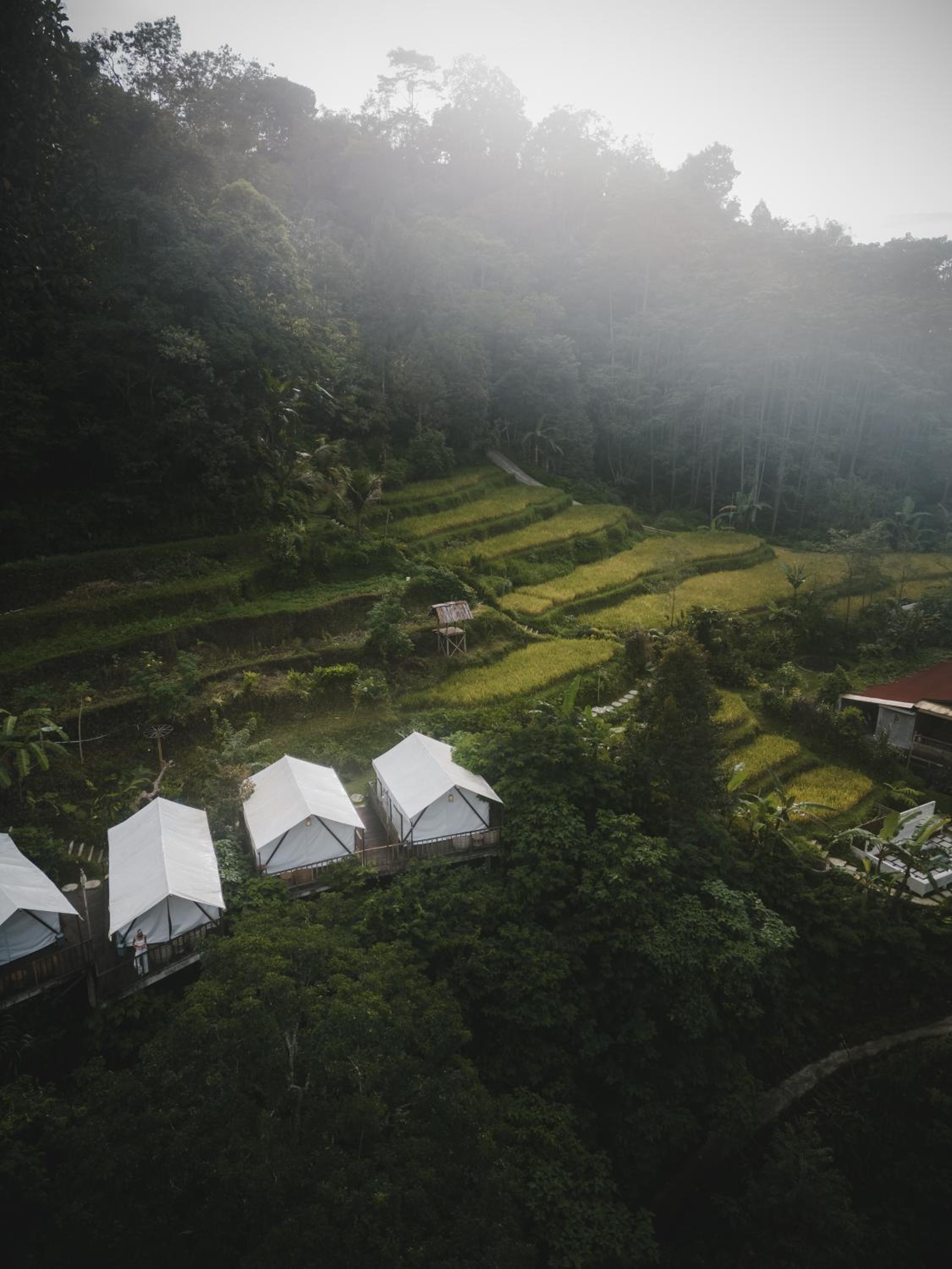 Glamping tent in Pelaga Eco Park