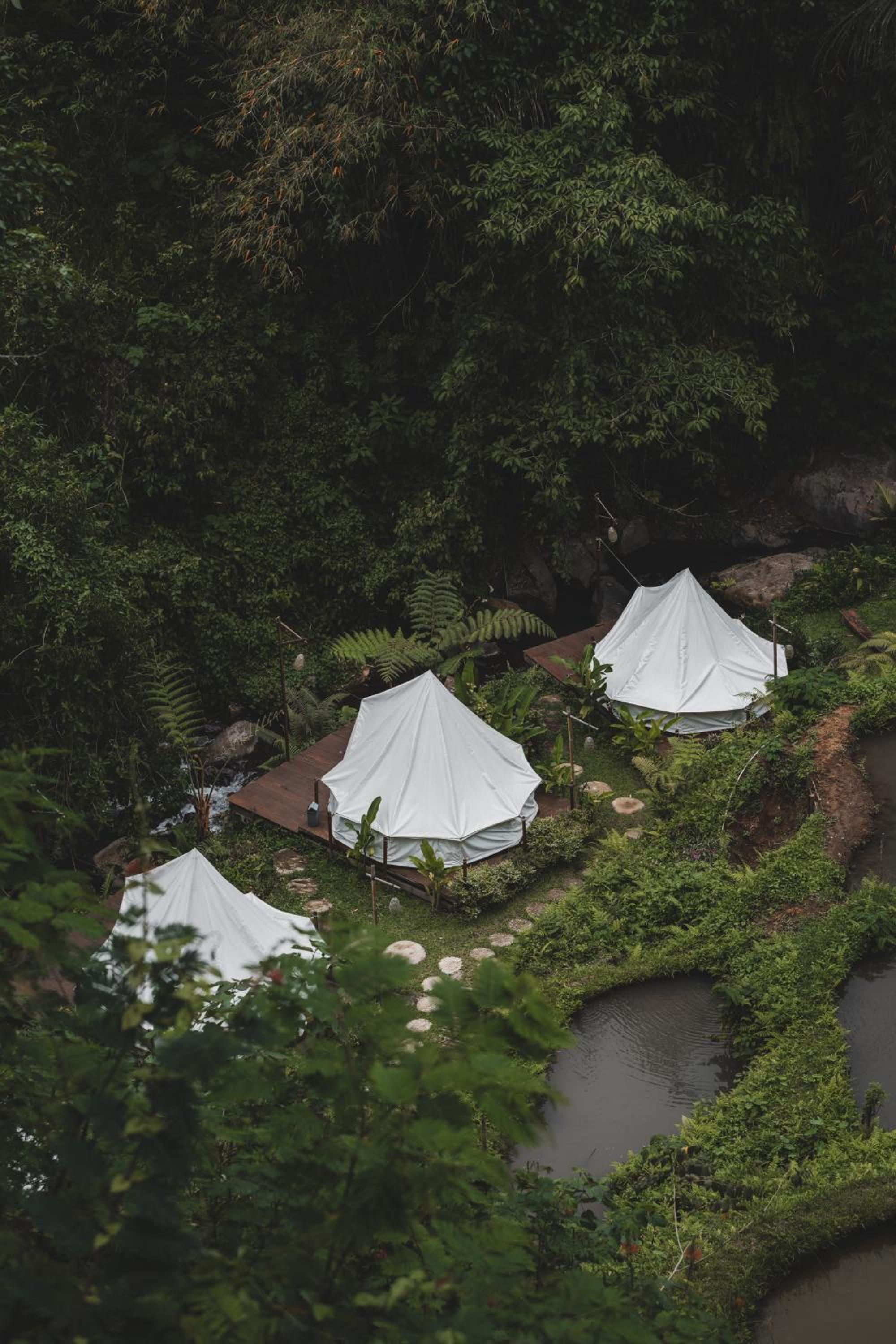 Glamping tent in Pelaga Eco Park