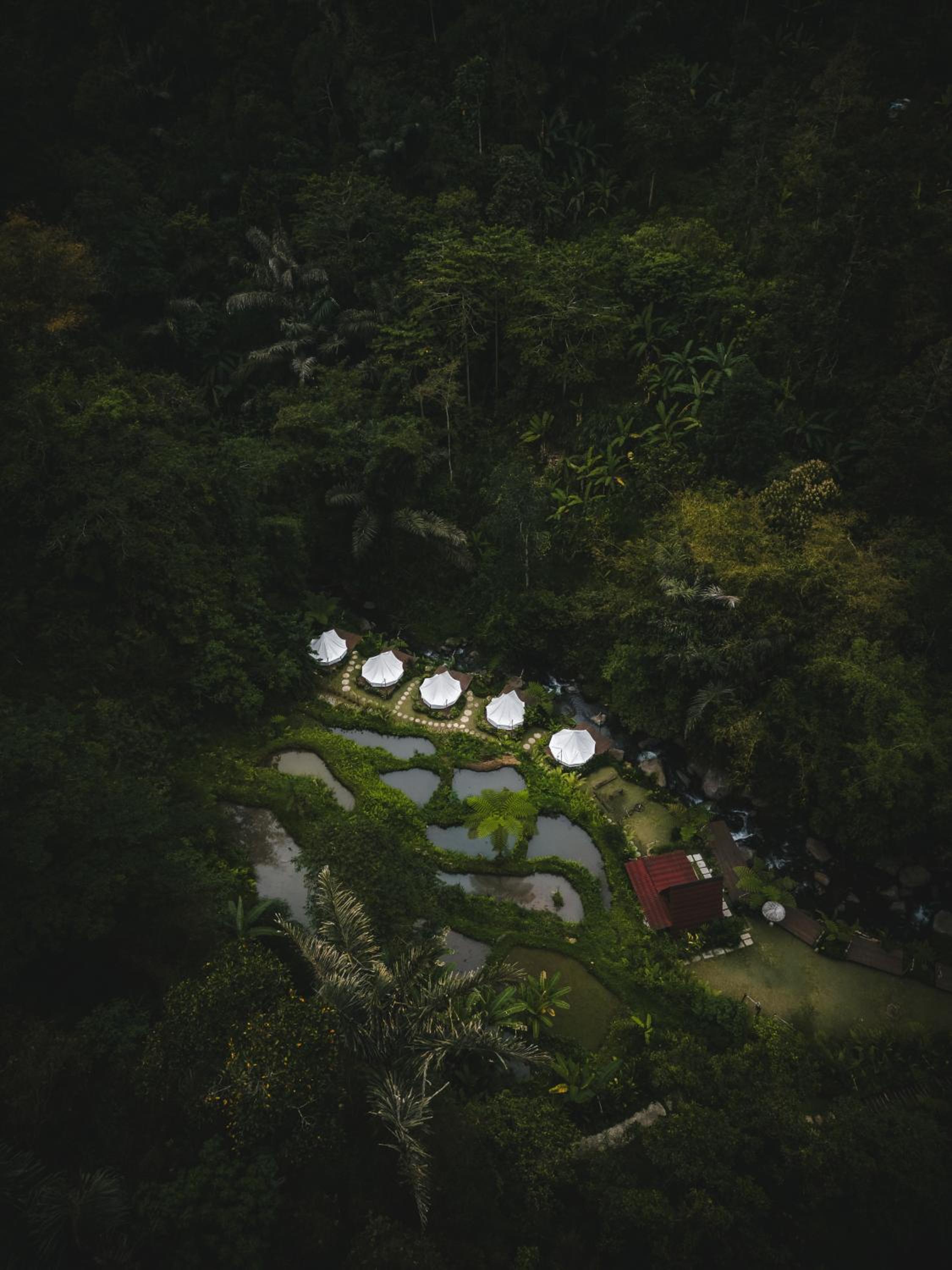 Glamping tent in Pelaga Eco Park