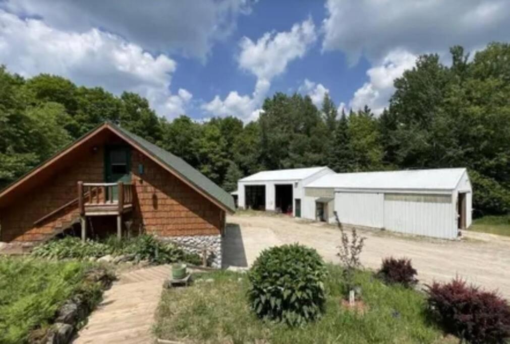Chapel Forest Cabin view 4