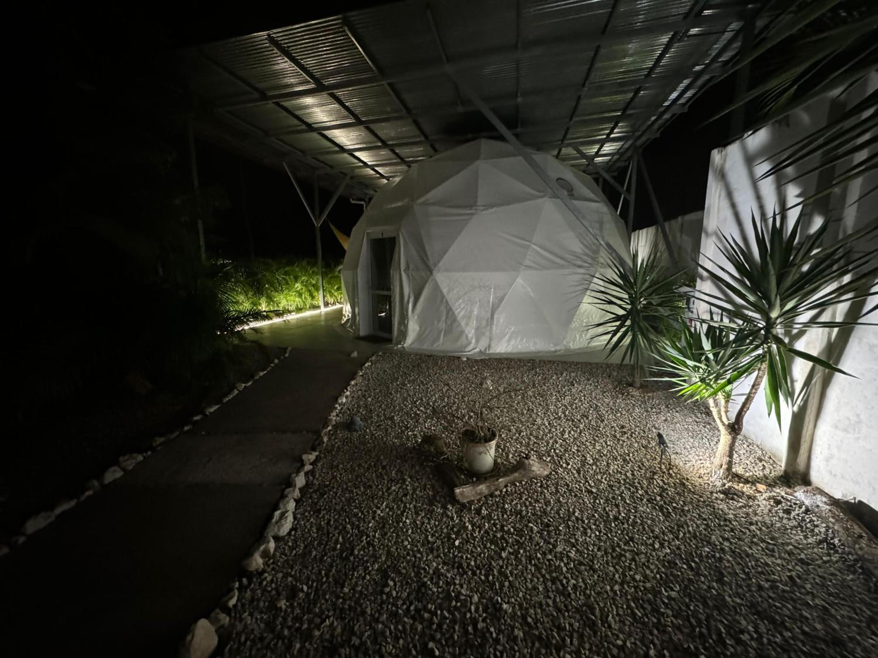 Photo 56