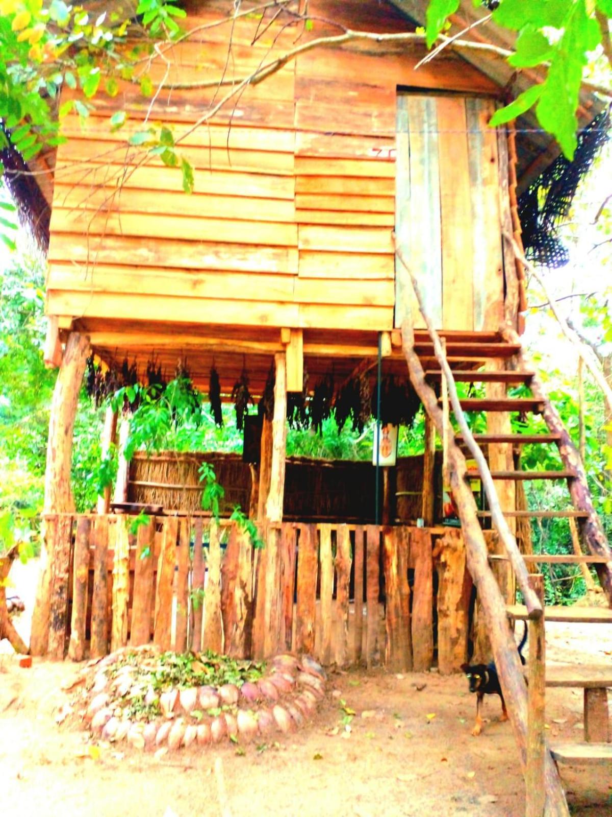 Habarana City Hostel