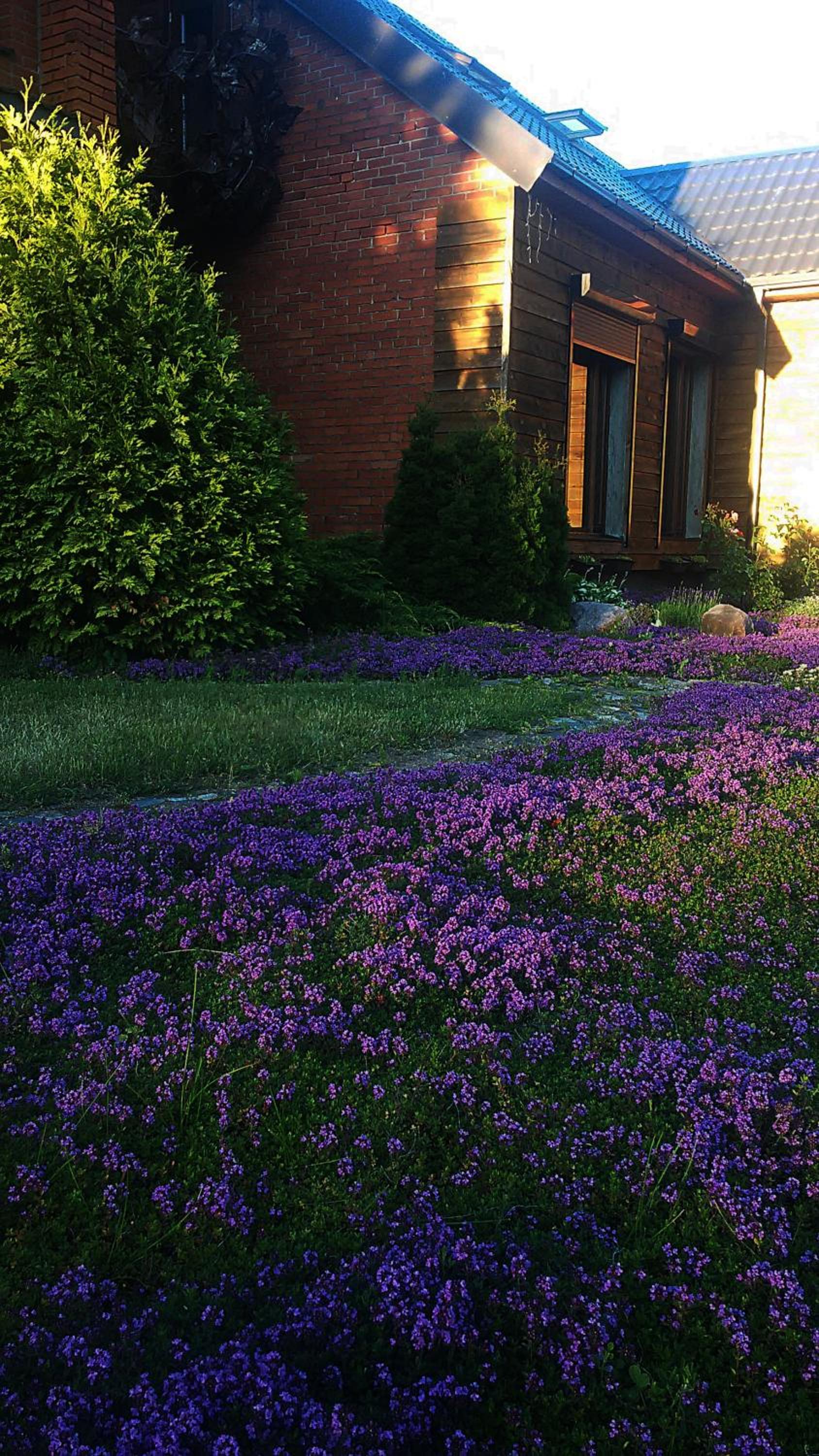 Photo 30