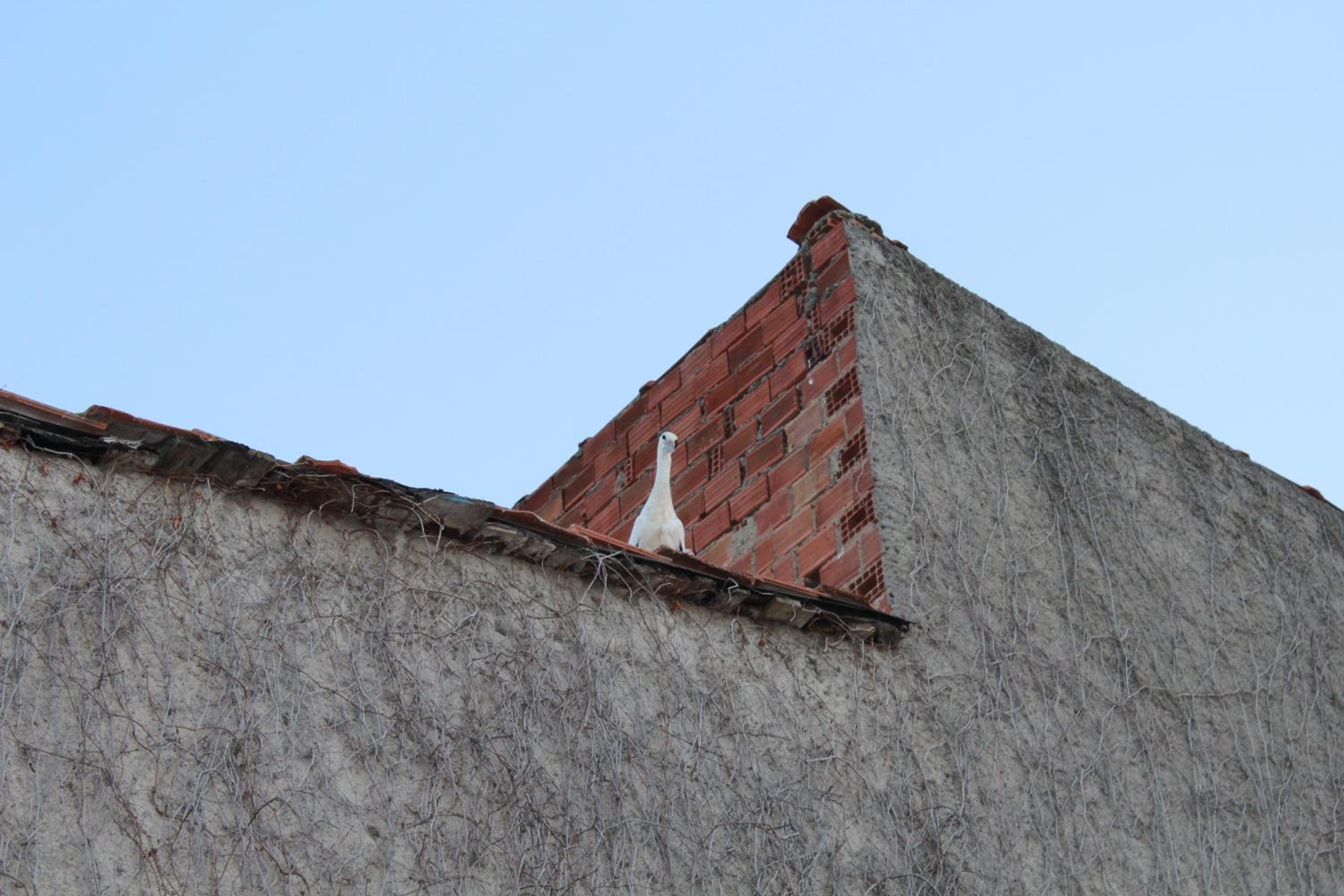 Tuncay Pension, photo 49