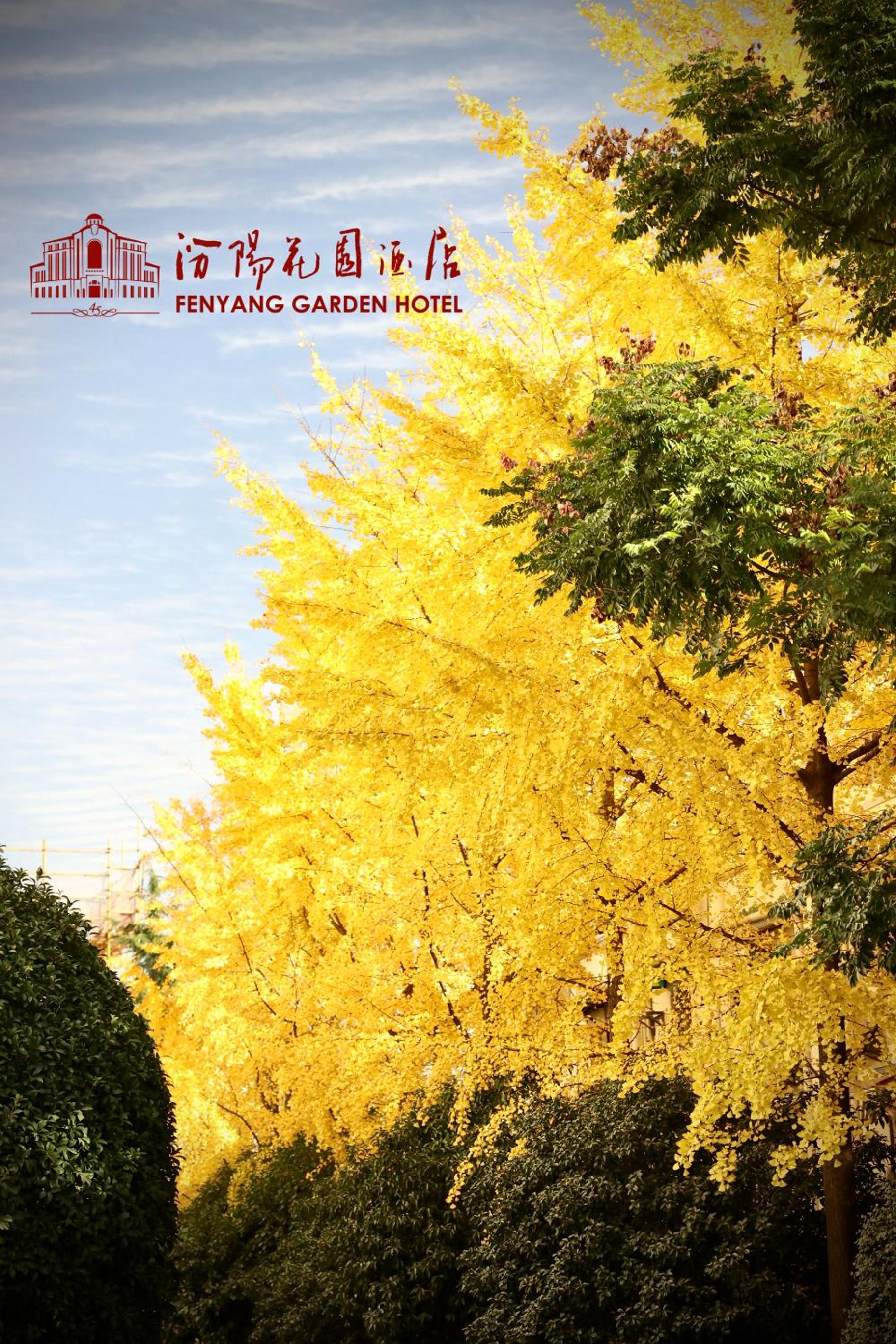 Shanghai Fenyang Garden Boutique Hotel